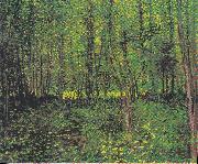 Vincent Van Gogh Trees and underwood Spain oil painting artist